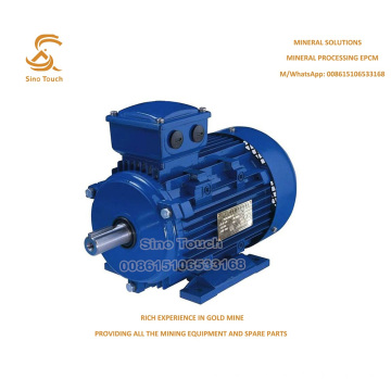 YE3 Three Phase Induction Motor